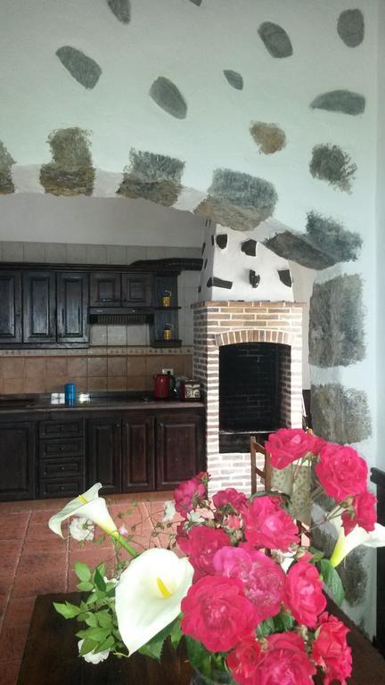 Casa Canaria La Moncloa Villa Icod De Los Vinos Rum bild