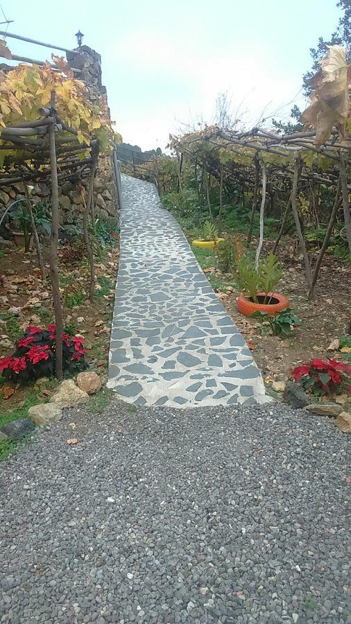 Casa Canaria La Moncloa Villa Icod De Los Vinos Exteriör bild